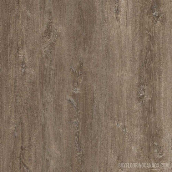 Faber Surfaces Evolution X LVT - Honey Faber Surfaces Evolution X LVT - Honey